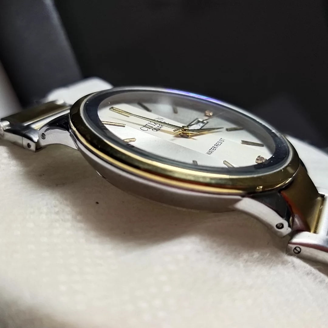 Vortex Elite Date & Day Citizen Watch